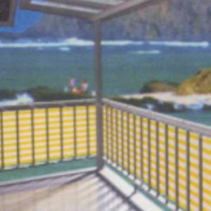 Balcony Fence