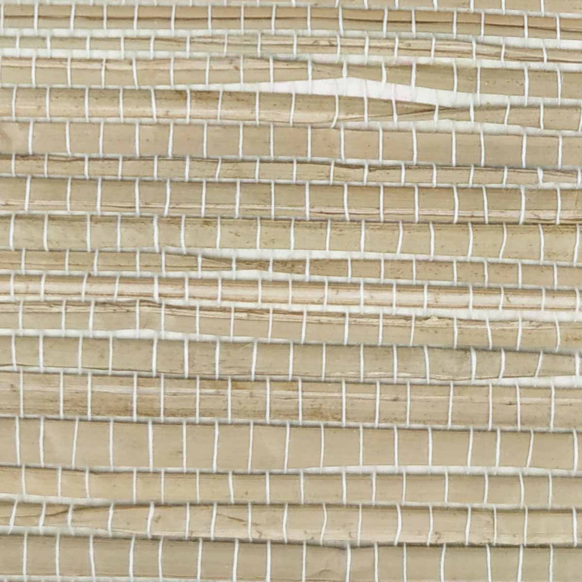 TWP-620009  Seagrass