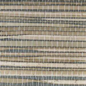TWP-620008  Seagrass