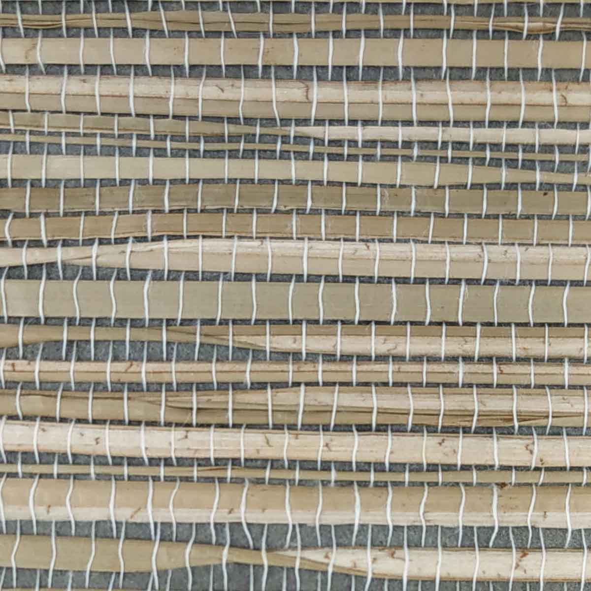 TWP-620009  Seagrass