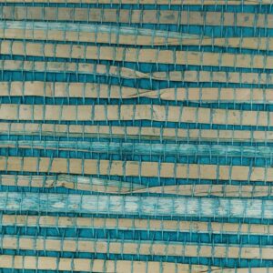 TWP-620011  Seagrass