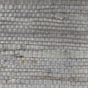 TWP-660003  Arrowroot