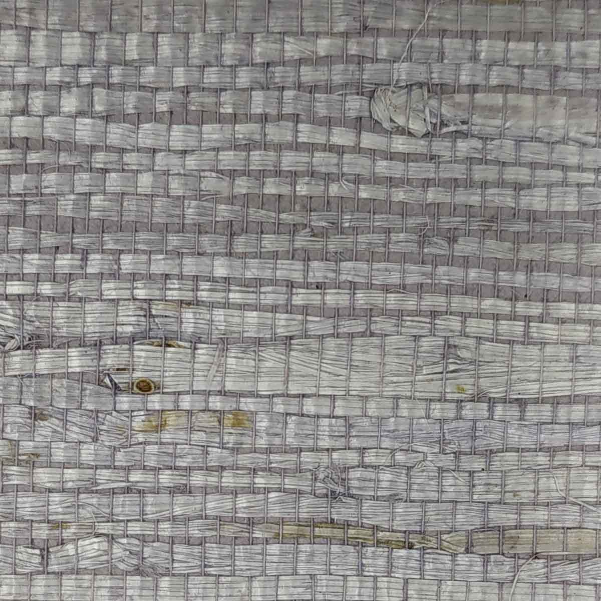 TWP-660003  Arrowroot