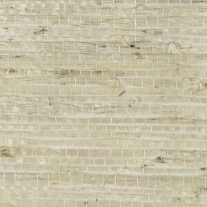 TWP-660004  Arrowroot