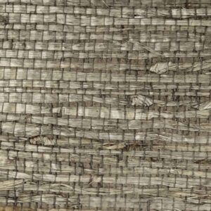 TWP-660006  Arrowroot