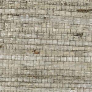 TWP-660008  Arrowroot