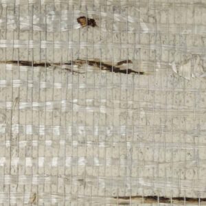 TWP-660012  Arrowroot