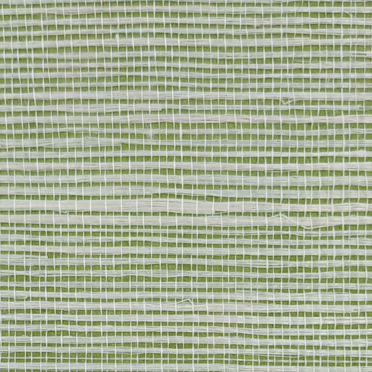 TWP-64006  Sisal