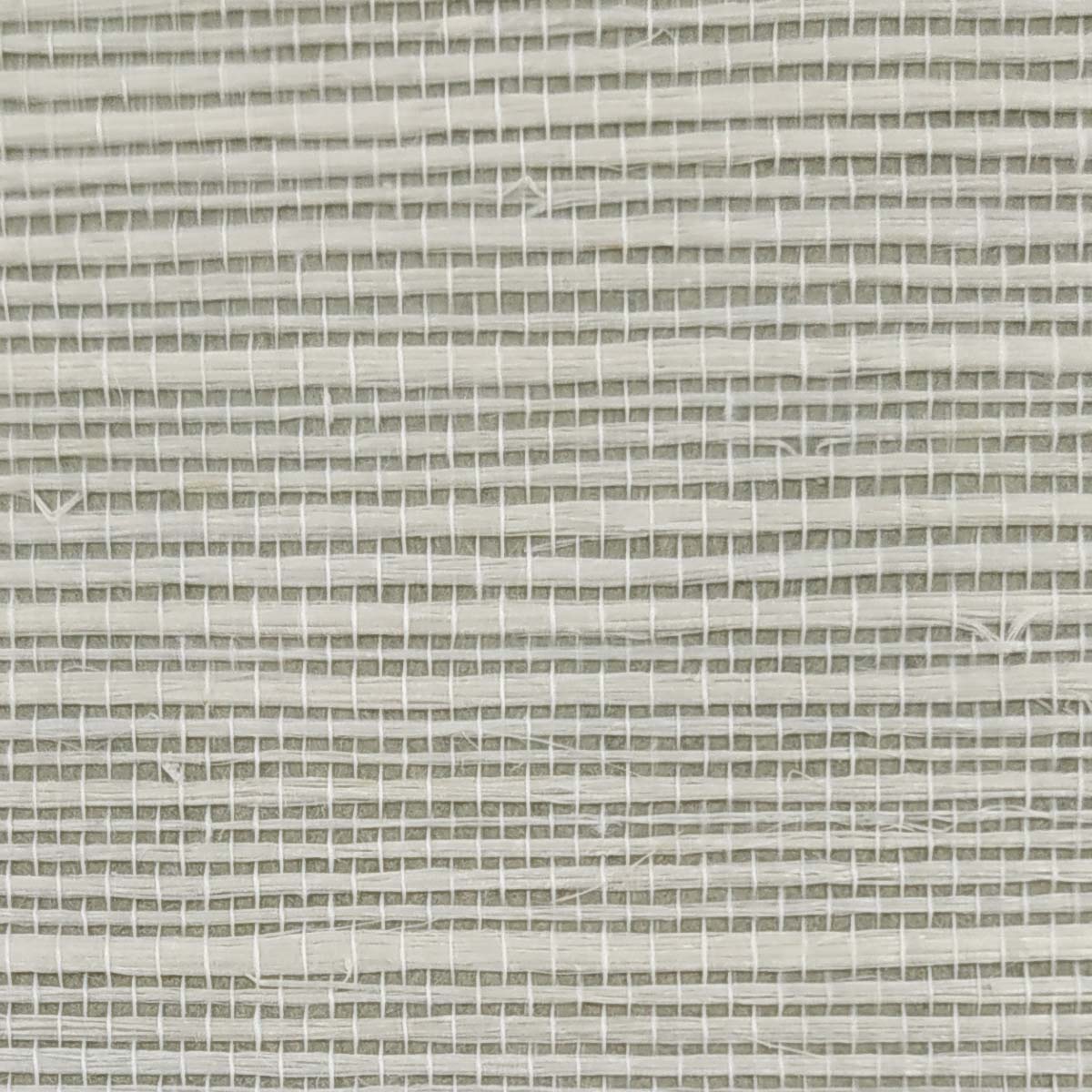 TWP-64008  Sisal