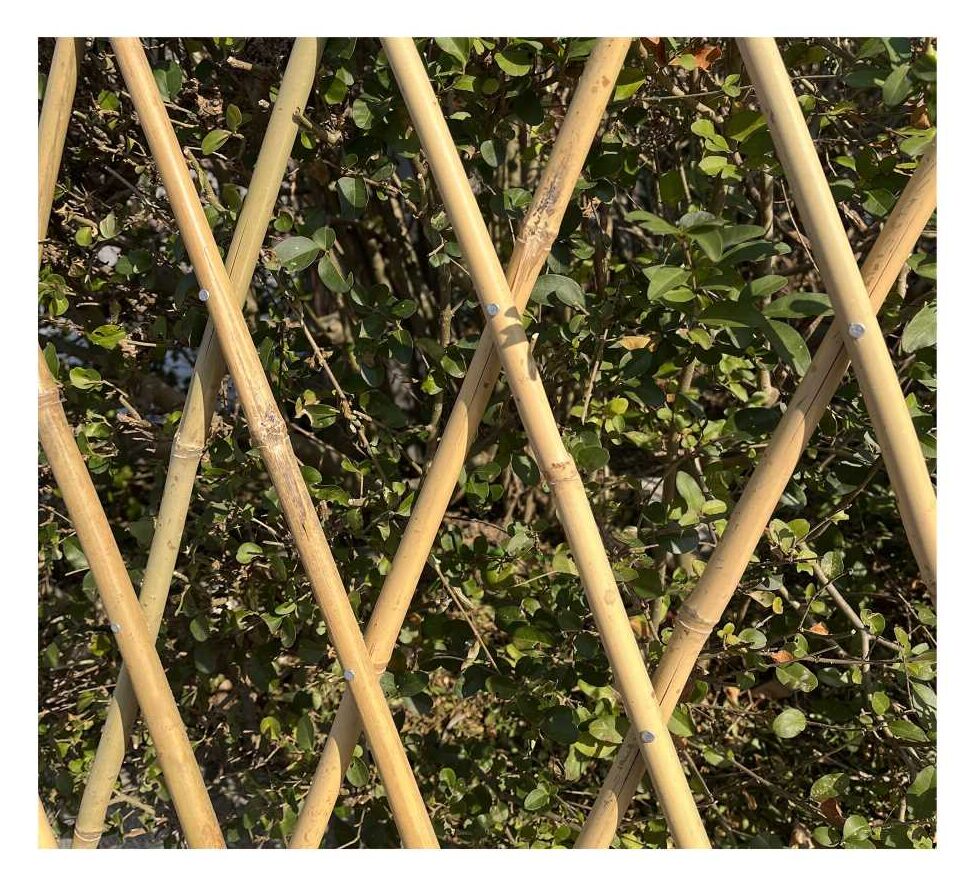 OUTDOOR BAMBOO/REED FENCE - Image 3