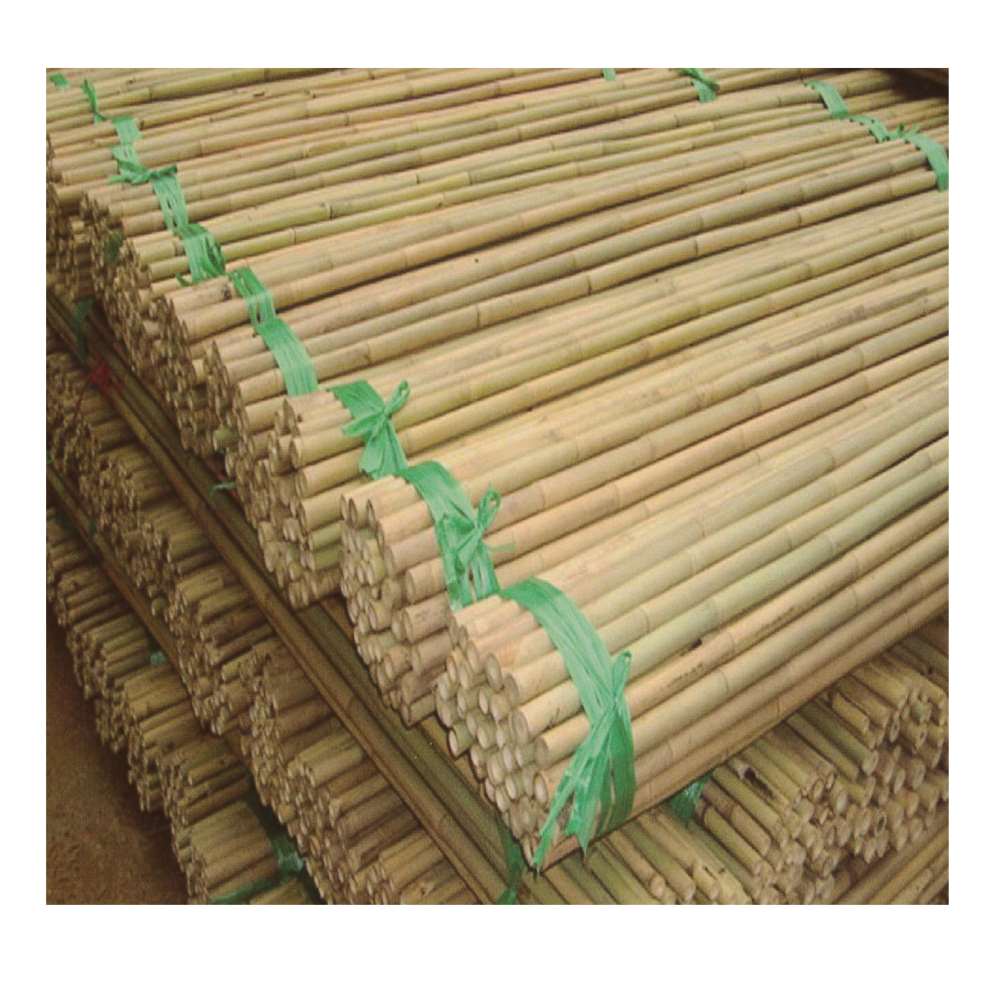 OUTDOOR BAMBOO/REED FENCE - Image 4