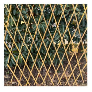 OUTDOOR BAMBOO/REED FENCE
