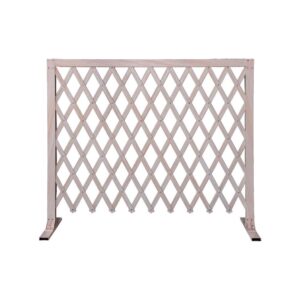 Lattice Fence with Feet