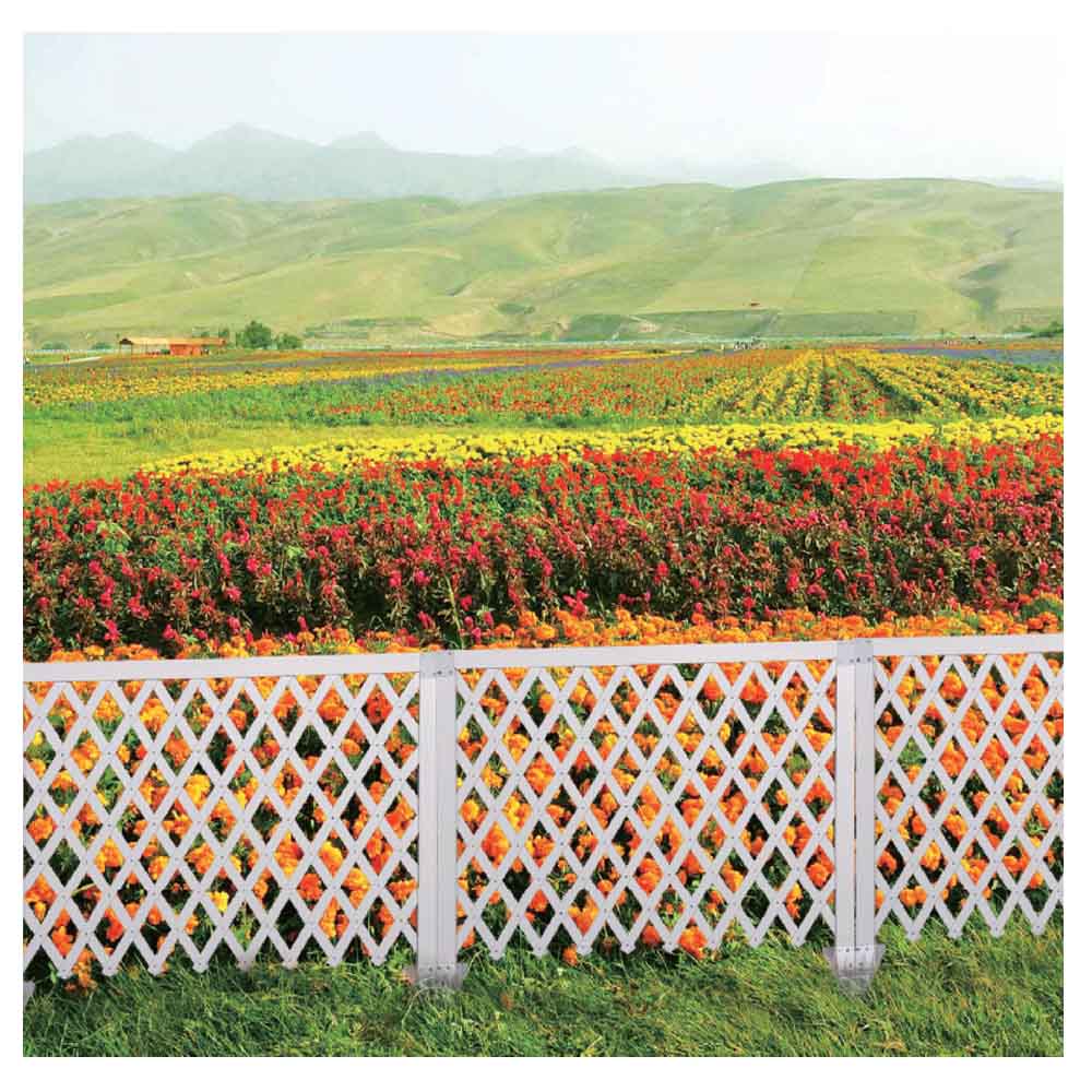 Lattice Fence with Feet - Image 4
