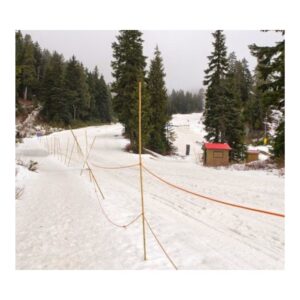 SKI bamboo pole